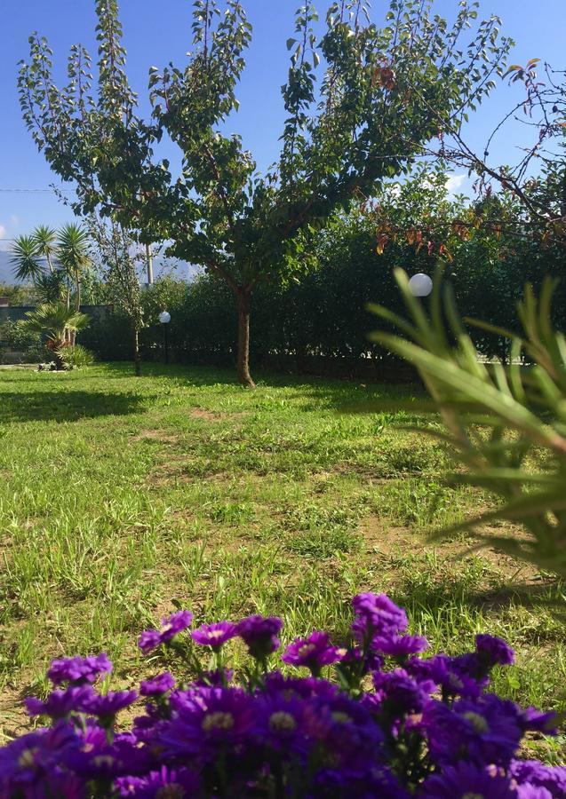 Bba2Passi Bed & Breakfast Marina di Massa Exterior photo